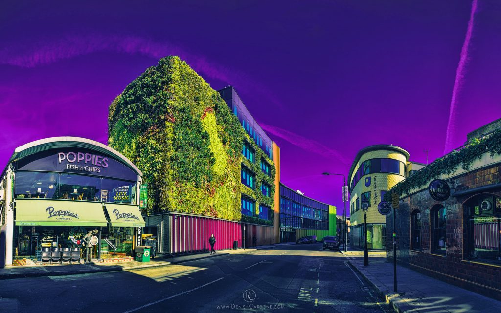 "Green Wall" photographed and edited by Denis Carbone